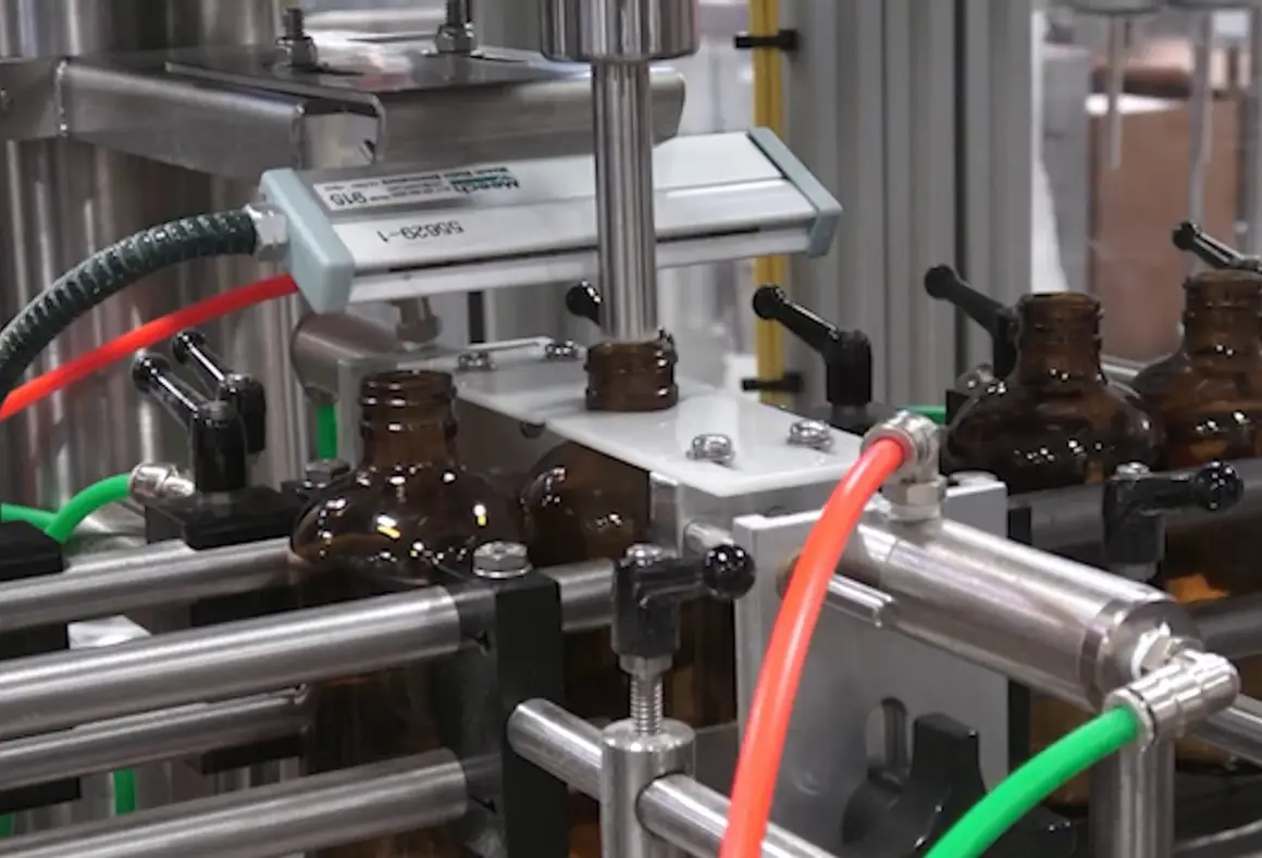 Thumbnail for Model DHAS/SV/600 Automatic Auger Filler | Placebo